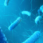 sepsis caused by enterobacter