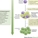 severe chronic neutropenia