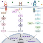 solid tumor with neurotrophic receptor tyrosine kinase (ntrk) gene fusion