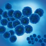 staphylococcus cystitis