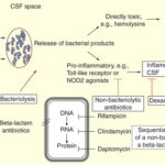 synergy for bacterial meningitis