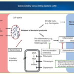 synergy for enterobacter meningitis