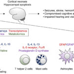 synergy for neonatal meningitis