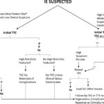 synergy for prevention of enterococcal endocarditis
