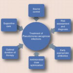 synergy for pseudomonas aeruginosa meningitis