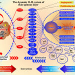 synergy for staphylococcus skin and skin structure infection