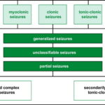 tonic-clonic epilepsy treatment adjunct