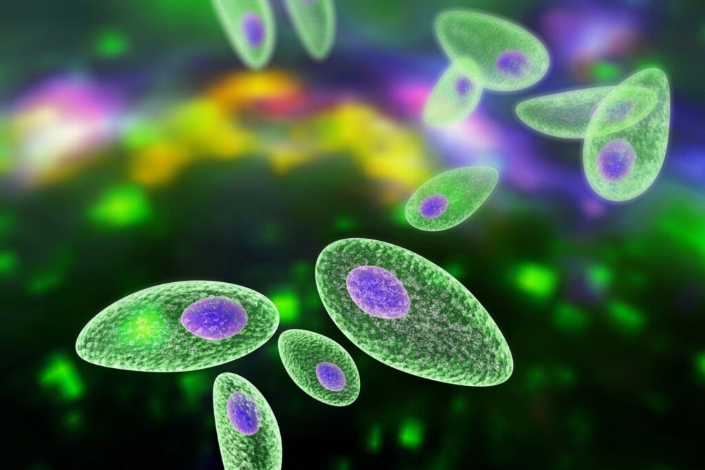 toxoplasmosis