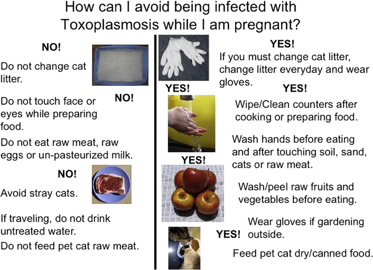 toxoplasmosis prevention