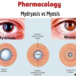 treatment to reverse mydriasis caused by ophthalmic adrenergic or anticholinergic agent