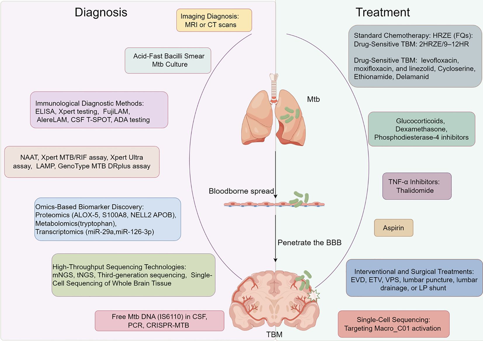tuberculosis meningitis treatment adjunct