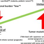 tumor mutational burden-high solid malignant tumor