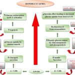 type 2 diabetes mellitus treatment adjunct