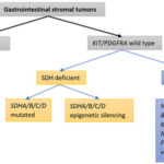 unresectable or metastatic kit (cd117) positive gastrointestinal stromal tumor