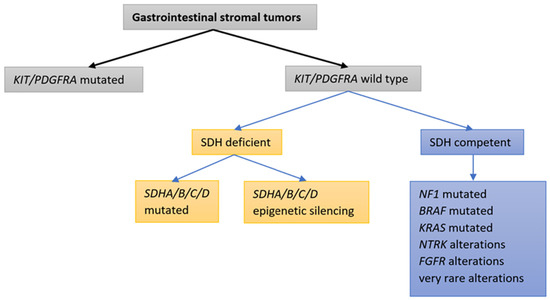 unresectable or metastatic kit (cd117) positive gastrointestinal stromal tumor