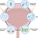 urine acidification uti treatment adjunct