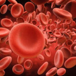 vitamin k deficiency induced hypoprothrombinemia