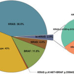 wild-type kras and nras colorectal cancer