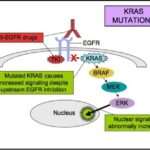 wild-type kras, egfr-positive colorectal cancer