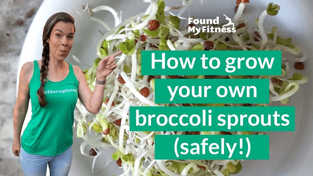 Broccoli Sprouts Growing Guide