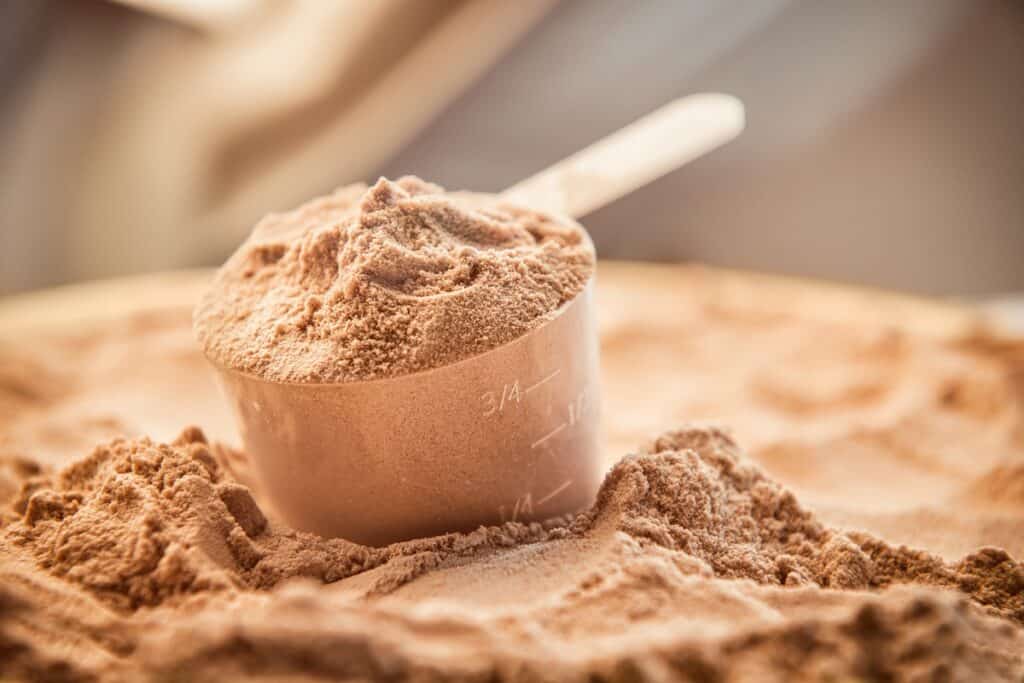 Whey Isolate Protein Safe for Lactose Intolerance