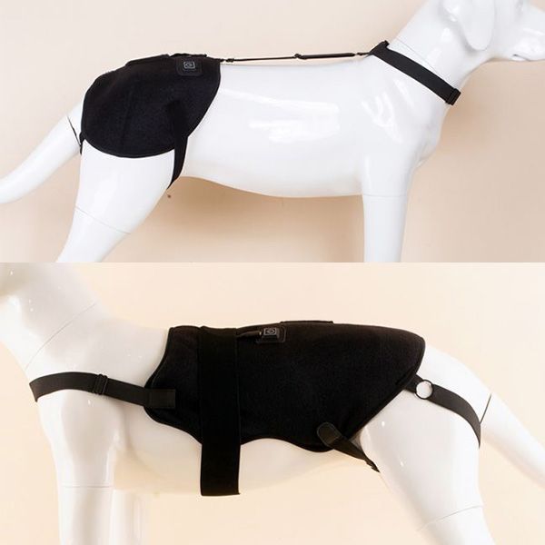 pain relief for dogs hips
